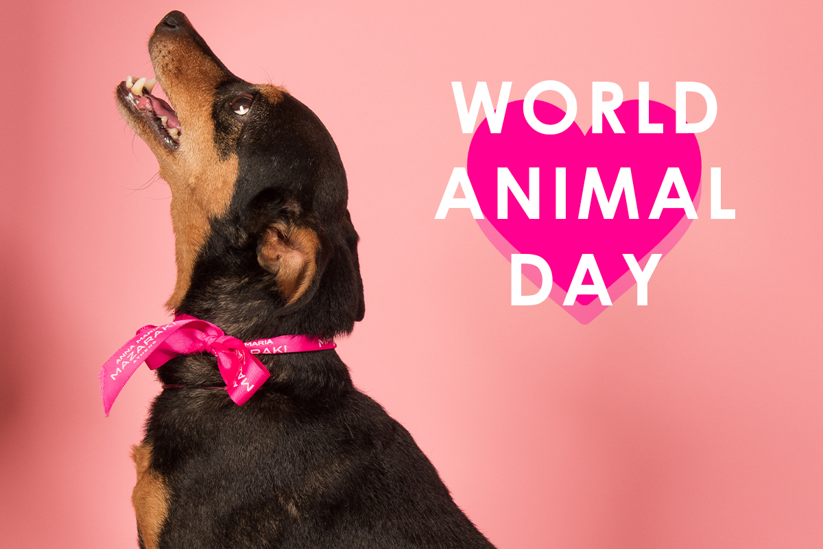 WORLD ANIMAL DAY!