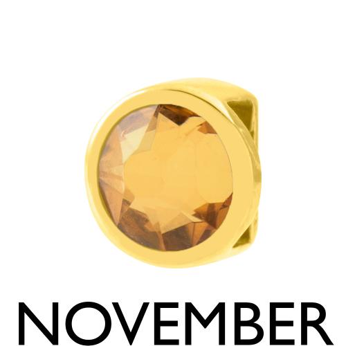 24Κ Yellow gold plated sterling silver motif, November birthstone.